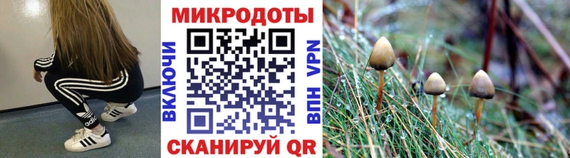 Галлюциногенные грибы Cubensis  Купить где  Мирный 
